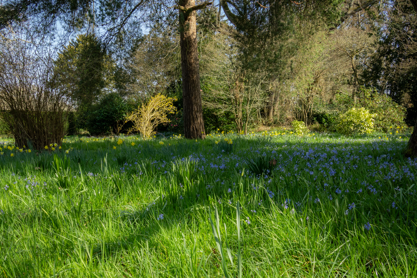 Photography by Chris Allington